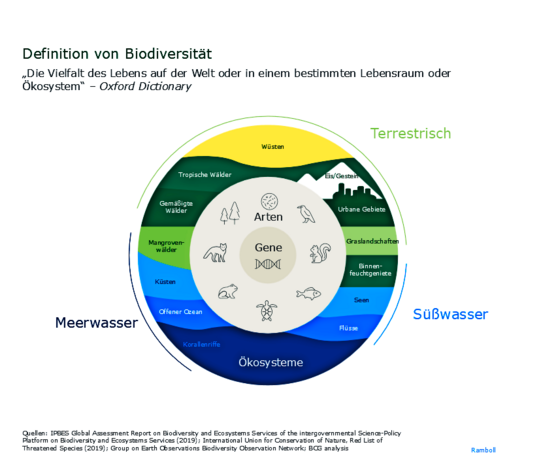 Was bedeutet Biodiversität?