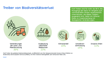 Diese fünf Treiber sind für über 90 % des Biodiversitätsverlustes verantwortlich.