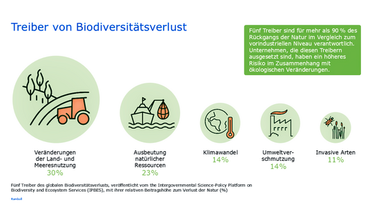 Diese fünf Treiber sind für über 90 % des Biodiversitätsverlustes verantwortlich.