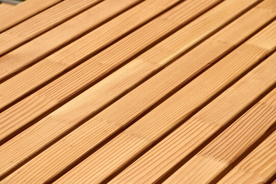 Die Leimholzlatten wurden im Institut f�r Holztechnologie in Dresden auf Herz und Nieren gepr�ft.