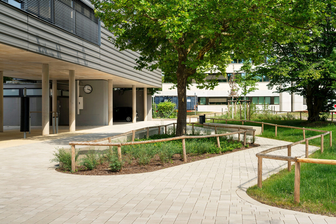 Die gro�en Baumscheiben bieten ausreichend Platz f�r den Wurzelraum der neugepflanzten B�ume und Versickerung.