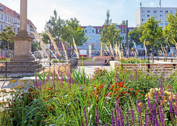 Das historische Ensemble aus Markt- und Kirchplatz wurde in Friedrichshagen zu einem Ort mit hoher Aufenthaltsqualitt umgestaltet.