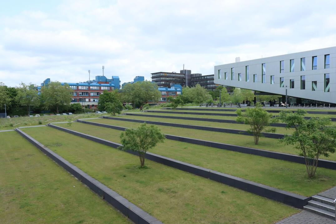 Praxisflche Campus Westerberg,Treppenanlage