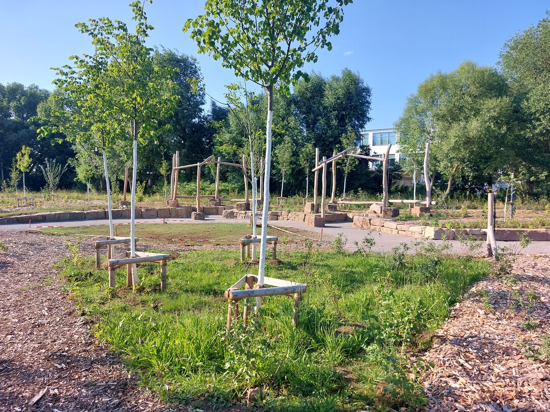 Die Kasseler Waldgrten sind ohne Fundamente und Versiegelung konzipiert. 