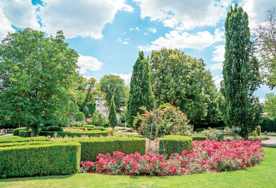 Bad Langensalzabildete mit zehn Themengärten einen Außenstandort der BUGA 2021. De rRosengarten umfasst fast 450 Rosenarten und -sorten.