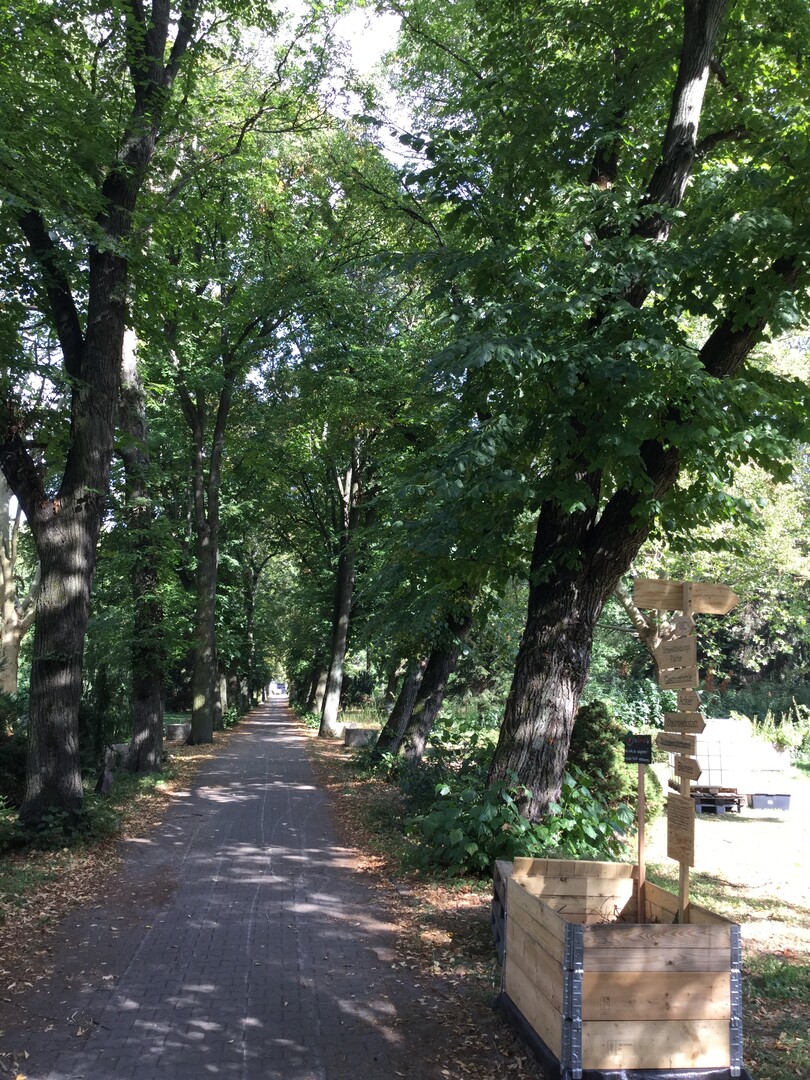 4. Preis: Vom Friedhof zum Park und Lehrgarten in Berlin
