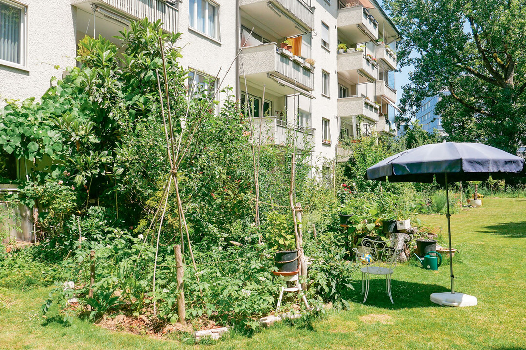 Mit dem Waldgarten in der Elfenau begann Daniel Lis 2018. Mittlerweile ist die Fläche, dieauf dem Foto zu sehen ist, rund 80 m² groß und soll noch weiter wachsen.