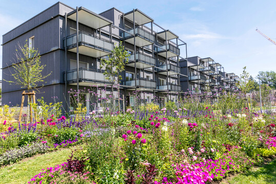 Dank der Landesgartenschau knnen sich die Bewohner der Geschossbauten ber einen farbenfrohen Ausblick freuen.