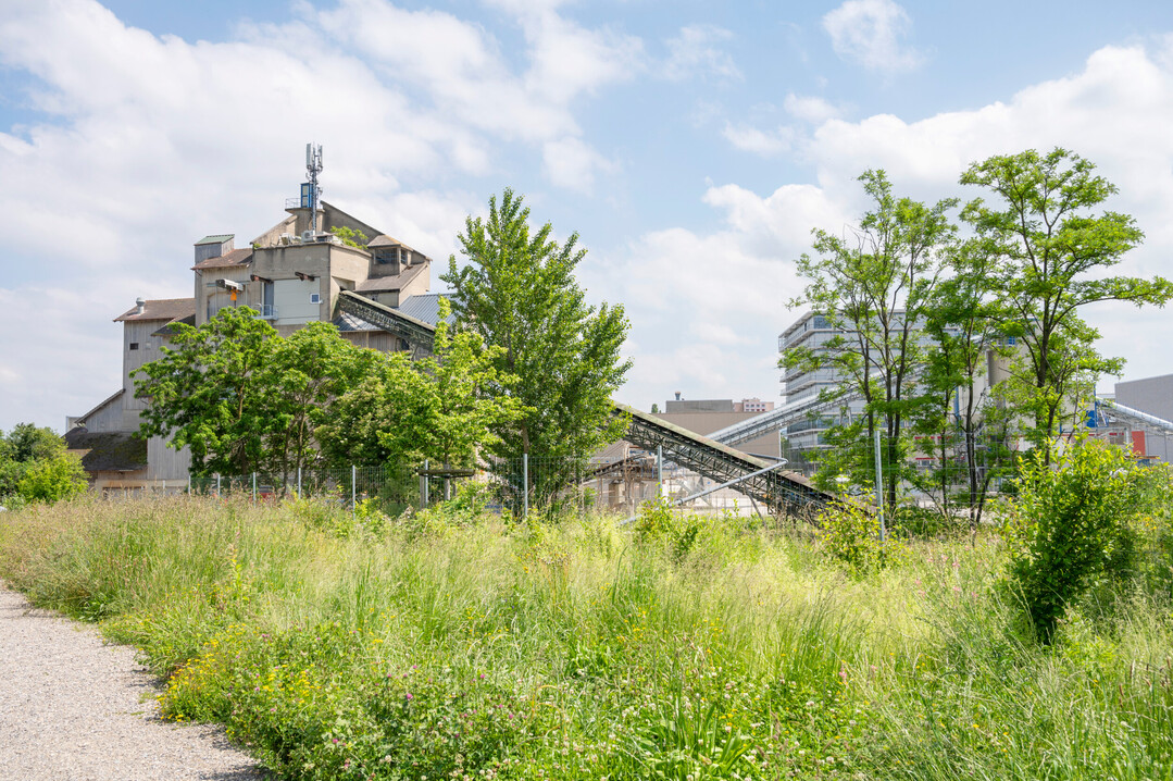 Parc des Carrires, Kieswerk der KIBAG