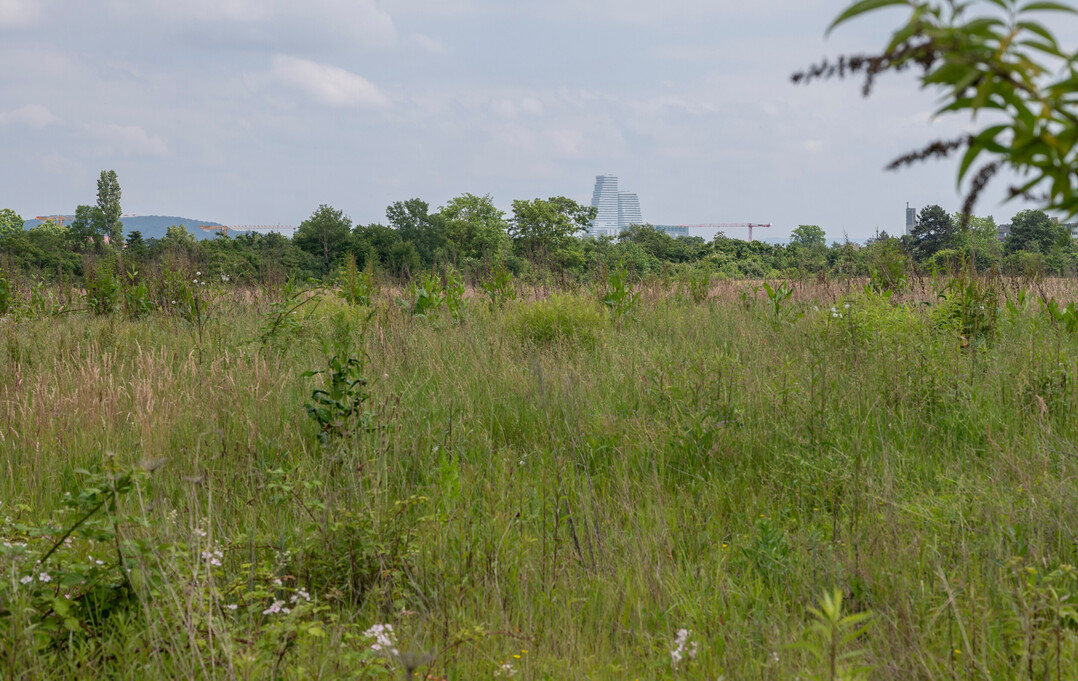 Die Skyline im Blick: Mehr als 40.000 Menschen wohnen in der Nhe. 