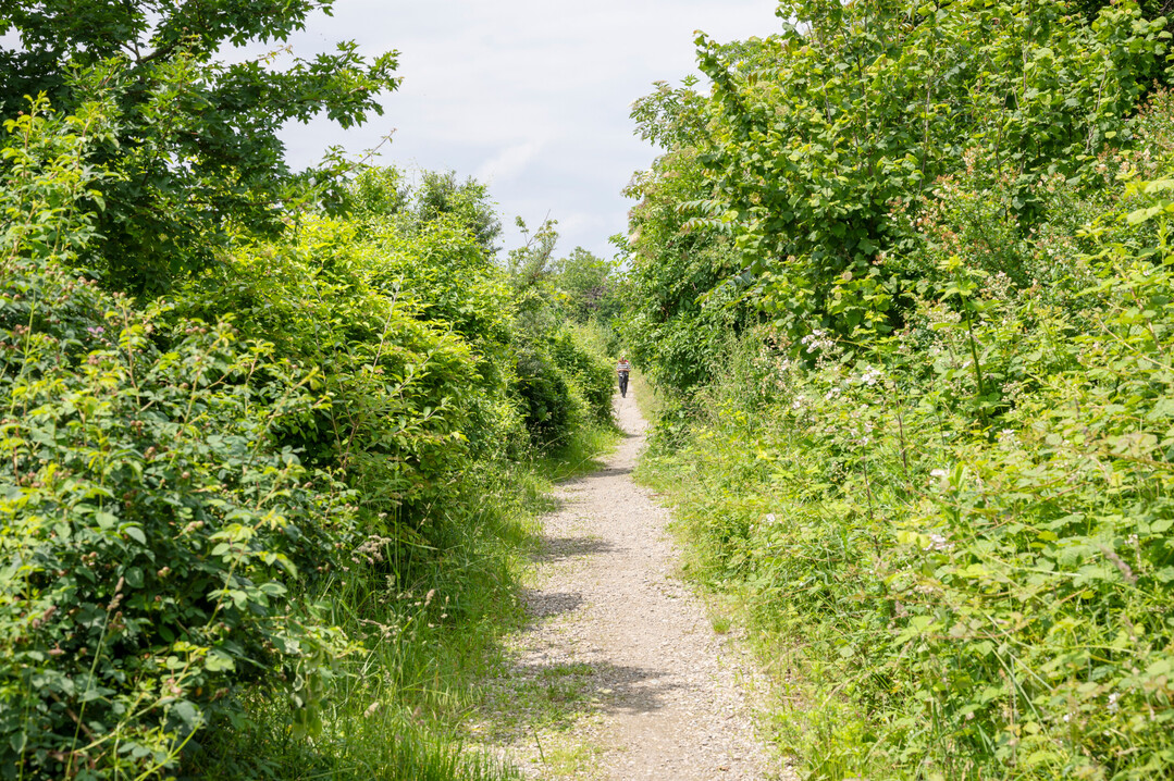 Wege fhren entlang der sogenannten Naturkorridore. 
