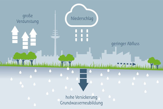 Darstellung eines naturnahen Wasserkreislaufs mit Stadtbumen im urbanen Raum. 
