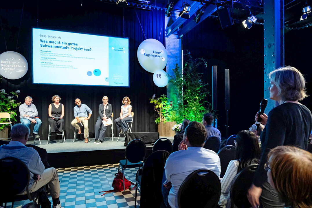 In der Gesprchsrunde beim Forum Regenwasser diskutierten Jury und Publikum darber, was ein gutes Schwammstadt-Projekte ausmacht.