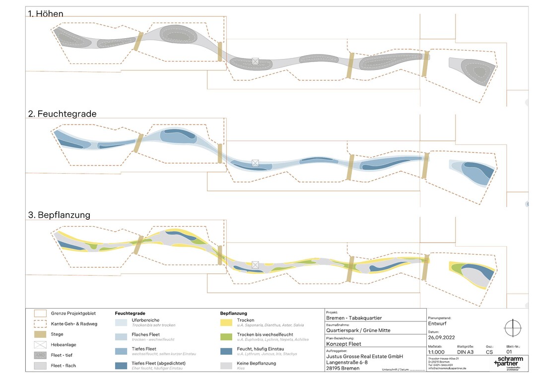 Feuchtegrade und Bepflanzung in Abhängigkeit von der geschaffenen Topographie