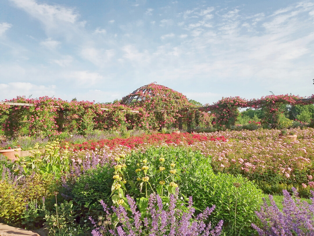 Der Park Rosenhhe in Darmstadt wurde nachhaltig und denkmalgerecht saniert.