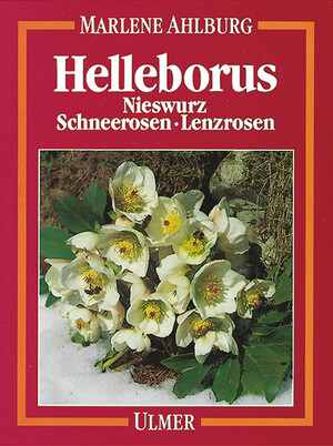 Helleborus