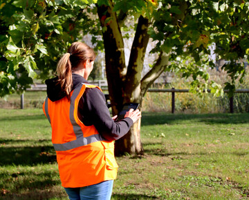 Im operativen Gesch�ft vor Ort erleichtern digitale Endger�te die Baumkontrolle.