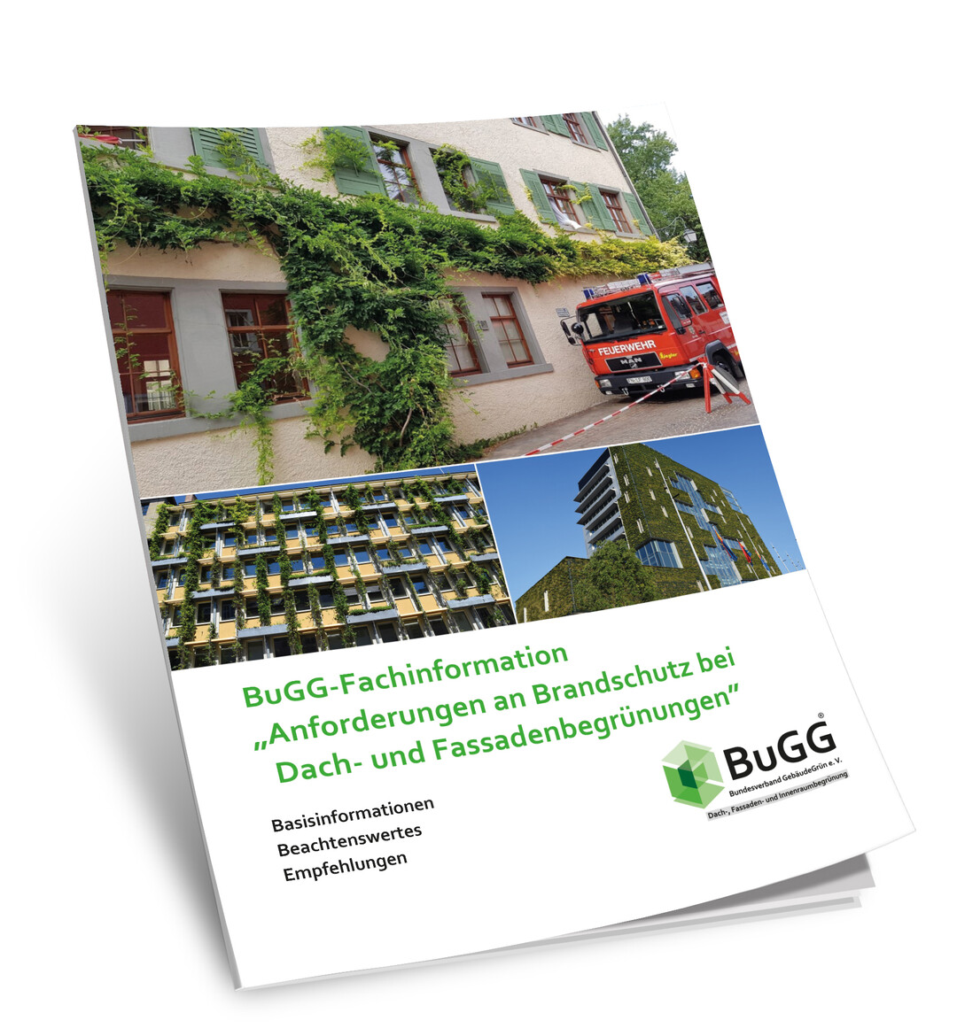 Neu: BuGG-Fachinformation Anforderungen an Brandschutz bei Dach- und Fassadenbegrunungen.