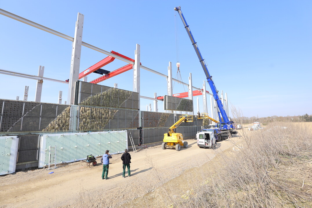In Fertigbauweise werden die kombinierten Beton-Pflanzen-Bauteile reihenweise montiert.