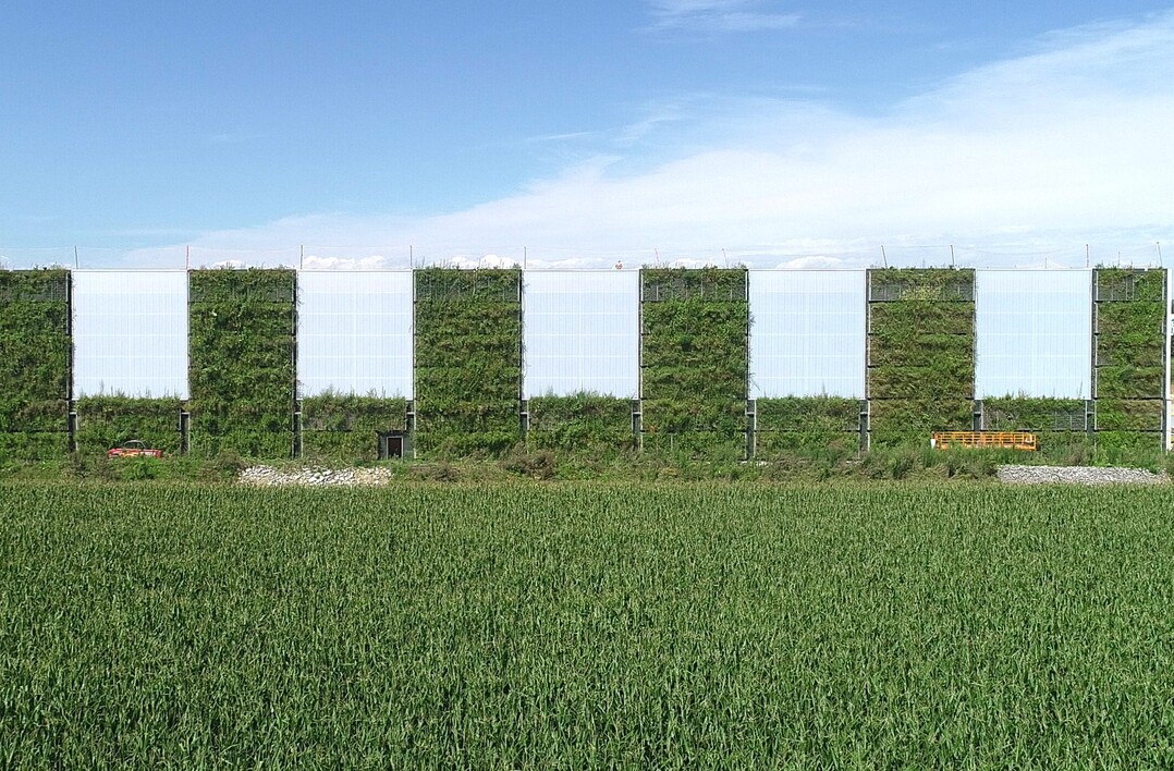 Die Grünwand schafft einen fließenden Übergang zwischen Gewerbegebiet und Agrarlandschaft.