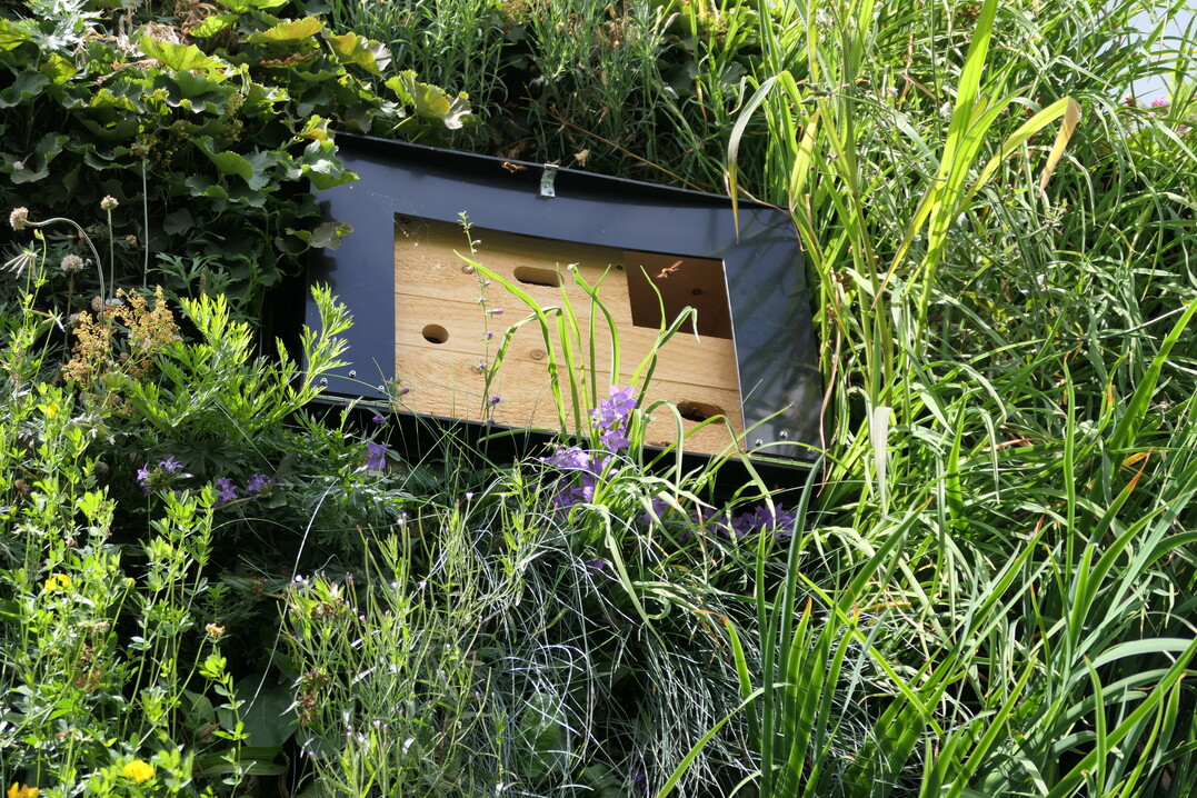 Die Habitate fr Insekten und Vgel sitzen tief im khlen Grn, im heien Sommer eine Frage des berlebens.