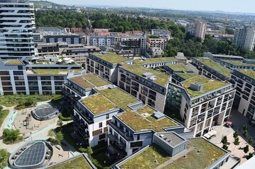 Blick ber Stuttgarts Dcher. Die Landeshauptstadt fhrt die BuGG-Grndach-Bundesliga an.