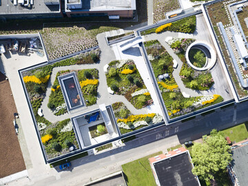 Gewinner BuGG-Grndach des Jahres 2021: Das Max-Planck-Institut fr Struktur und Dynamik der Materie in Hamburg