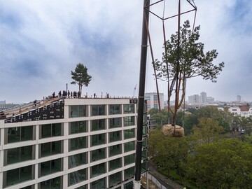 Start der Baumbepflanzung von AERA, Berlin.  