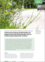 Eine artenreiche Wildpflanzenfläche am Rand der Lerchenauer Straße im Norden Münchens