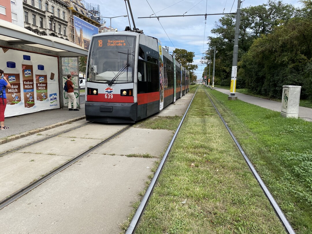   Selbst ein lediglich mit Scherrasen begrntes Gleisbett (hier in Wien) hilft, den Einfluss der Verkehrsflche auf das Ortsbild zu brechen. Der begrnte Teil wird optisch dem angrenzenden Park zugeschlagen, Verkehrsflche verliert an Dominanz. 