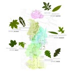Für jede Sphäre ein „gemischtes Doppel“ – so sieht es das Pflanzkonzept für die fünf
Sphären im neuen Ortspark vor.