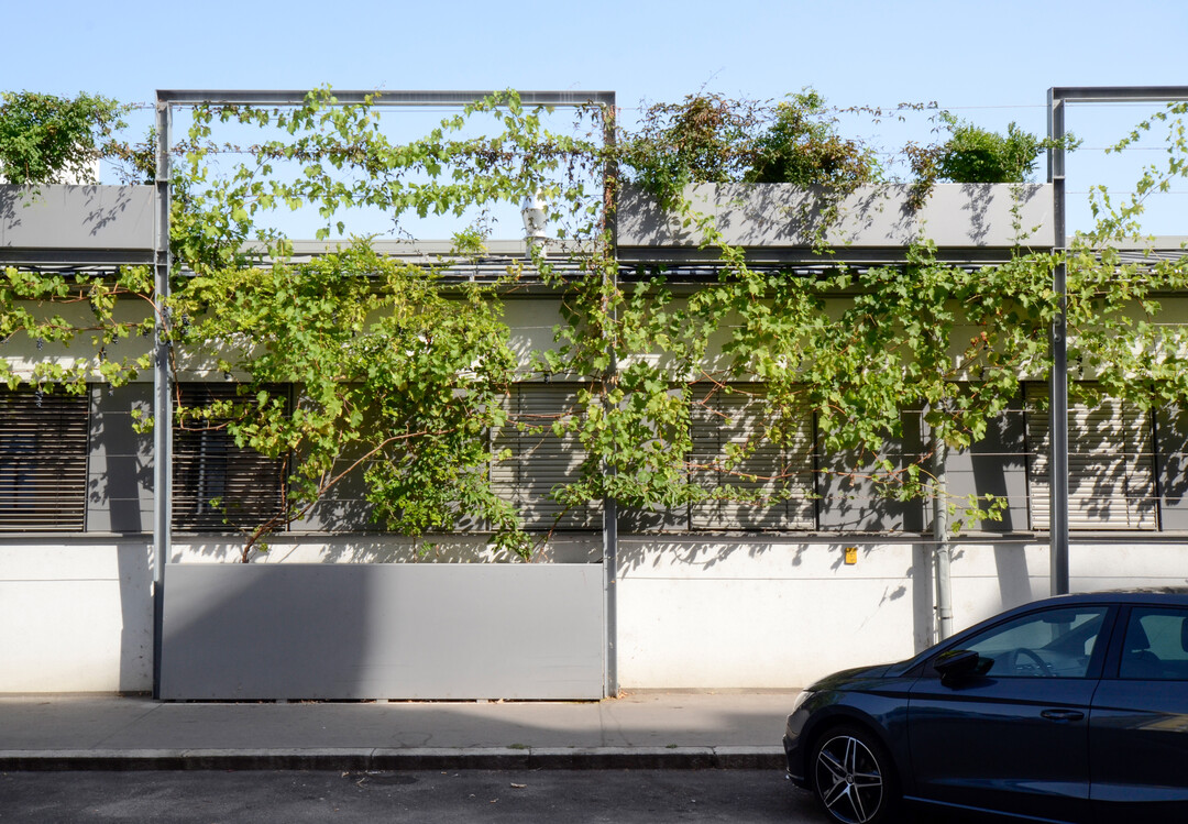 Auenstelle West, Wien Kanal  Fassadenbegrnung (1190 Wien, Boschstrae 40);
Planungsbeginn: 11/2019;
Fertigstellung: 08/2020;
Bauherr: MA30, Wien Kanal;
Planung: RATAPLAN  Architektur ZT GmbH;
Landschaftsarchitektur: green4cities;
Begrnte Fassadenflche: circa 400 m intensiv