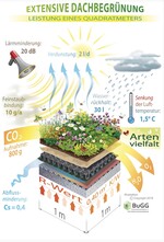 Der Bundesverband Gebäudegrün (BuGG) hat die Wirkung der Dachbegrünung in einer anschaulichen Graphik sehr schön zusammengefasst.