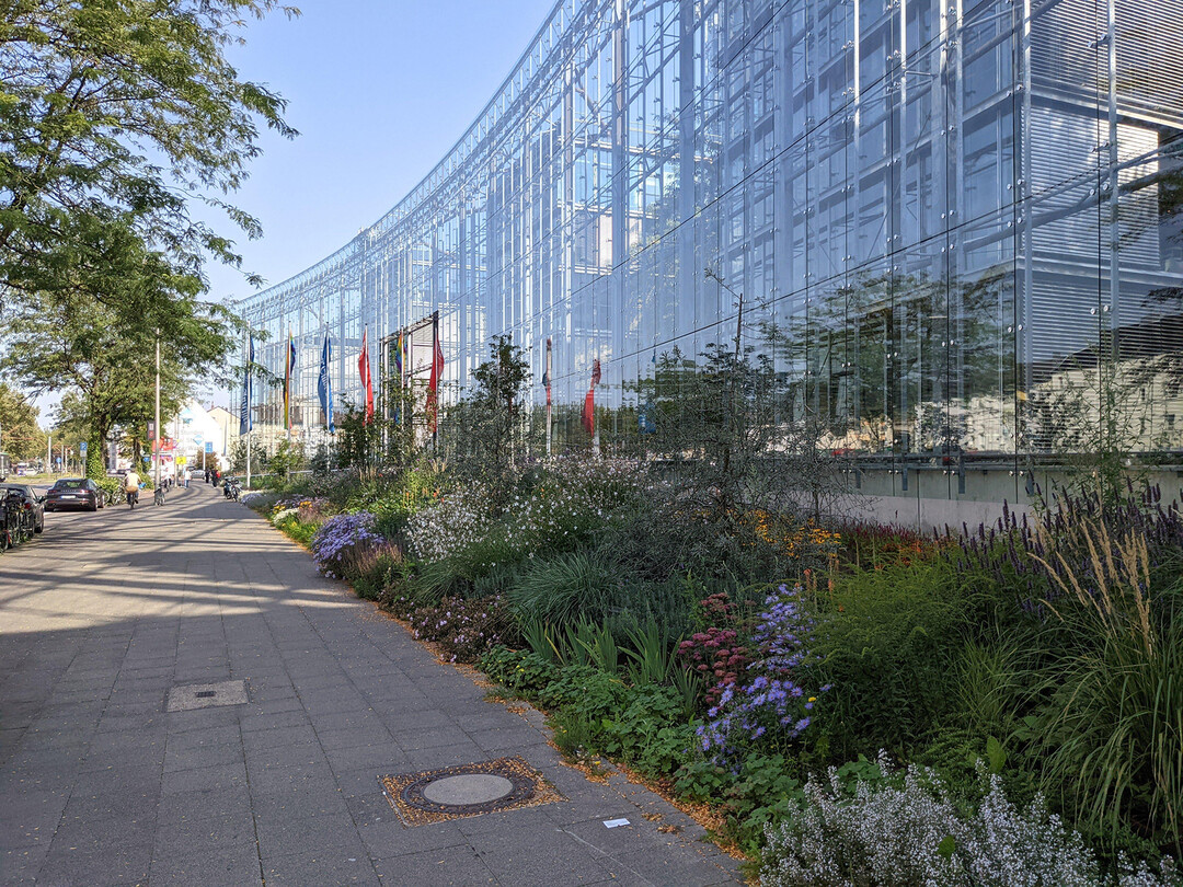 Neven-DuMont-Haus - Umgestaltung und Sanierung des Vorgartens, Köln;
Landschaftsarchitektur: Büro für Landschaftsarchitektur - Paesaggista, Wermelskirchen
Entwurf: Landschaftsarchitekt Sven Berkey