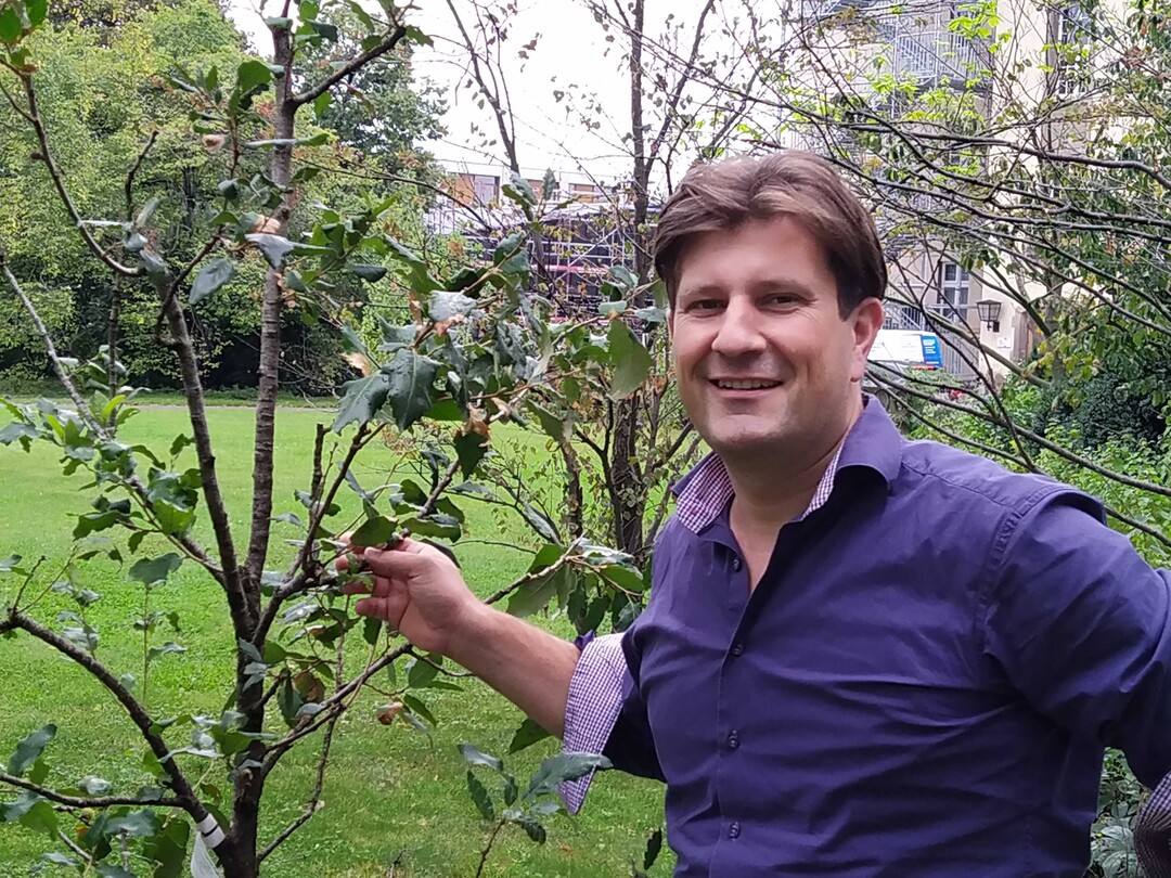 Jonas Reif, früherer Redakteur von GARTENPRAXIS und GÄRTEN, ist seit einem Jahr Professor für das Gebiet Pflanzenverwendung und Vegetationskonzepte.