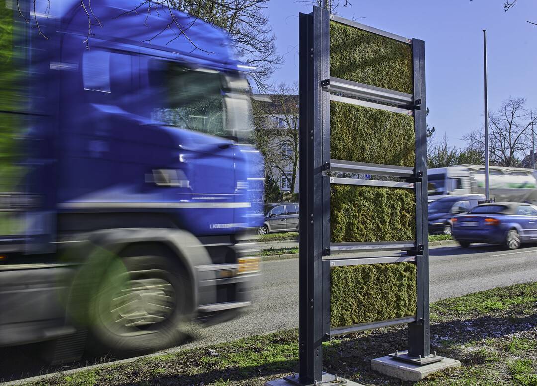 Während der letzten drei Jahre wurde das Mooswandsystem unter realen Umweltbedingungen an verkehrsreichen Straßen in Ludwigsburg und Stuttgart getestet