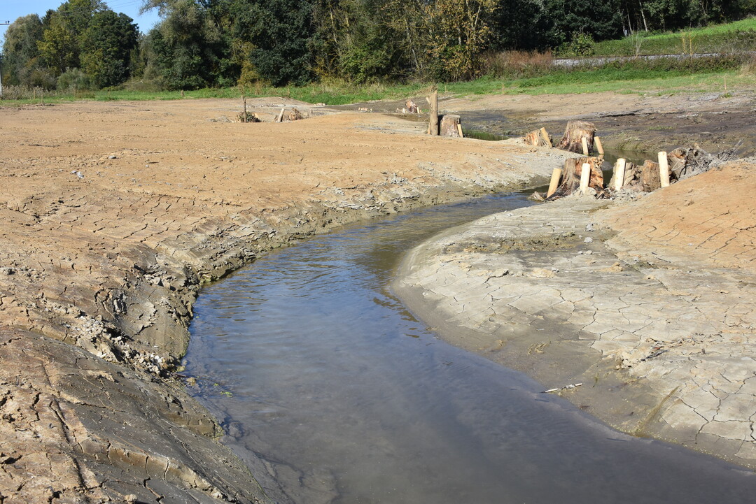 Durch die Sanierung von regulierten Gewssern steigt nicht nur der Biotopwert, sondern auch die Fhigkeit, Wasser zu halten.