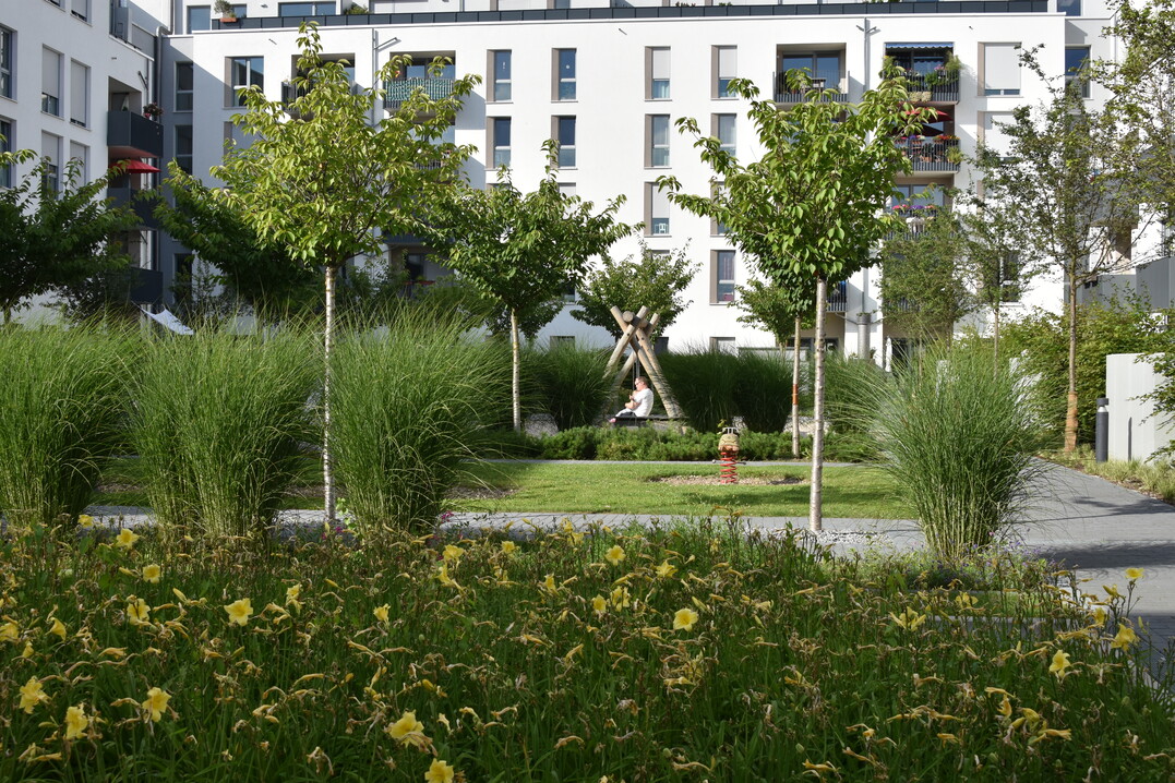 Grser und Bume helfen, Flchen zu Gestalten und Funktionsbereiche abzutrennen; so fllt auch der Spielplatz kaum noch auf. Soziale, kologische und konomische Nachhaltigkeit lassen sich trefflich in Einklang bringen.