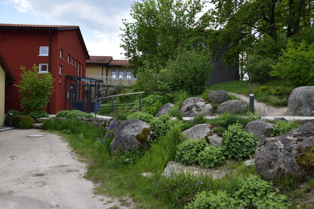 Nicht immer muss jedes Krutlein dem Ordnungssinn weichen. Fr diese Zufahrt zum Lager reicht es vllig aus, aufkommende Gehlze zu entfernen. Grser und Kruter drfen in den Weg und ber die terrassierenden Findlinge wachsen.