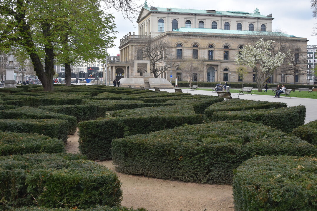   Auch der urbanen Mitte tun Pflanzen gut. Landschaftsarchitekt Kamel Louafi hat vor dem Opernhaus Hannover Mut zur Gestaltung mit geschnittenen Eiben bewiesen.