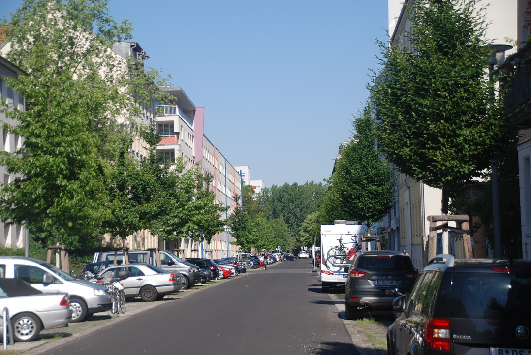Engere Wahl: Standardisierte Straenbaumkonzepte fr innerrtliche verdichtete Wohnstraen in Berlin