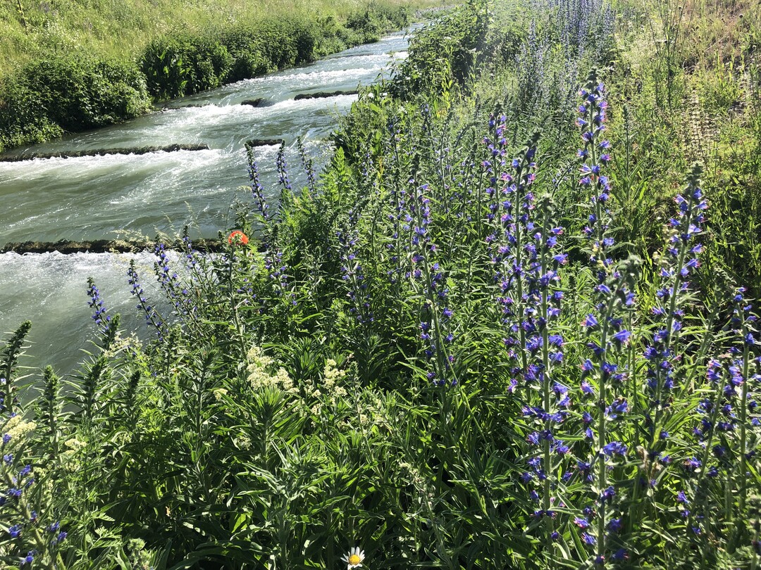 Getreppte Gewsser dienen dem Fischaufstieg und der Biotopvernetzung, halten aber auch Wasser zurck.
