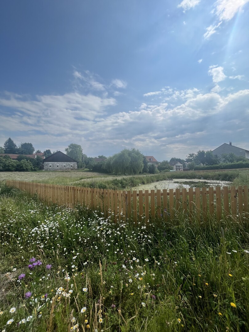 Rathausweiher in der Gemeinde Neuburg am Inn