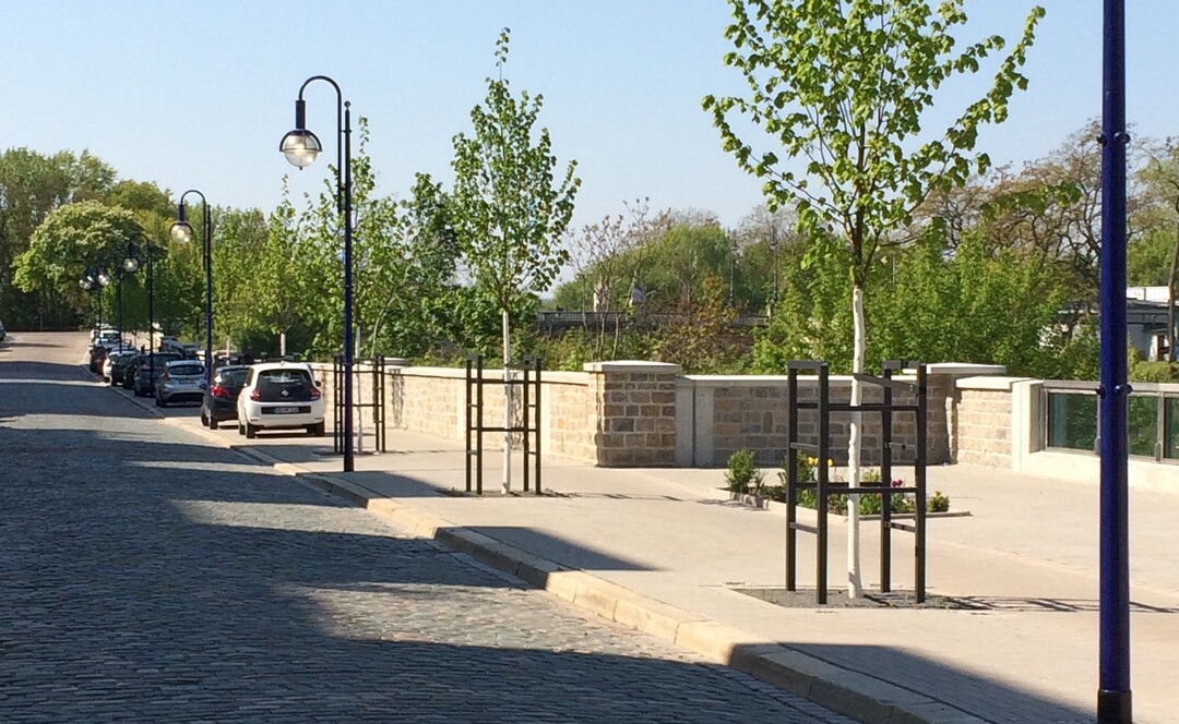 Sicherer Stand fr 70 Kaiserlinden: In den berbauten Baumgruben der neuen Hochwasserschutzanlage Zollstrae in Magdeburg kam der tegra Wurzelaktivator RADILOX zum Einsatz.