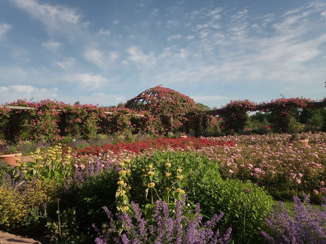 Rosenhhe Darmstadt: Rosarium mit Rosendom und Beete mit Rosen und trockenheitsresistenten Stauden im Vordergrund<br>