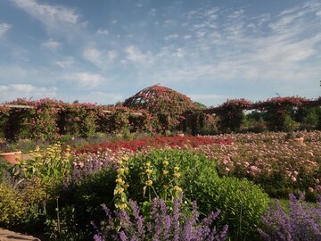 Rosenhhe Darmstadt: Rosarium mit Rosendom und Beete mit Rosen und trockenheitsresistenten Stauden im Vordergrund<br>