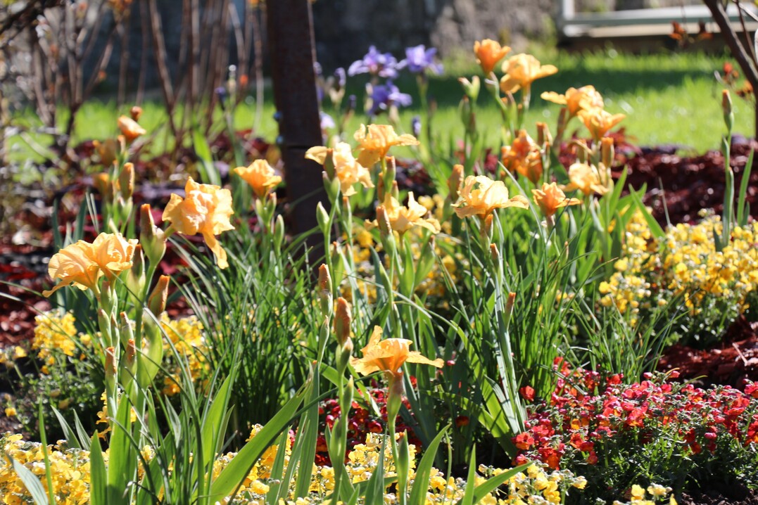 Schaugartenwettbewerb 2015