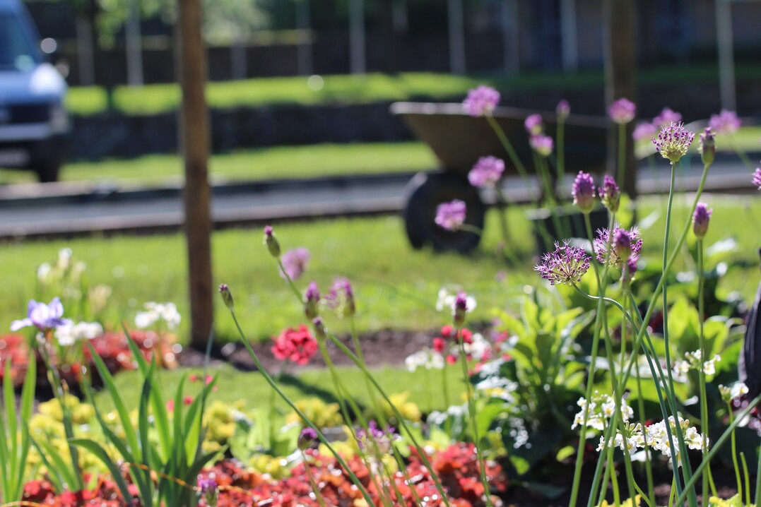 Schaugartenwettbewerb 2015