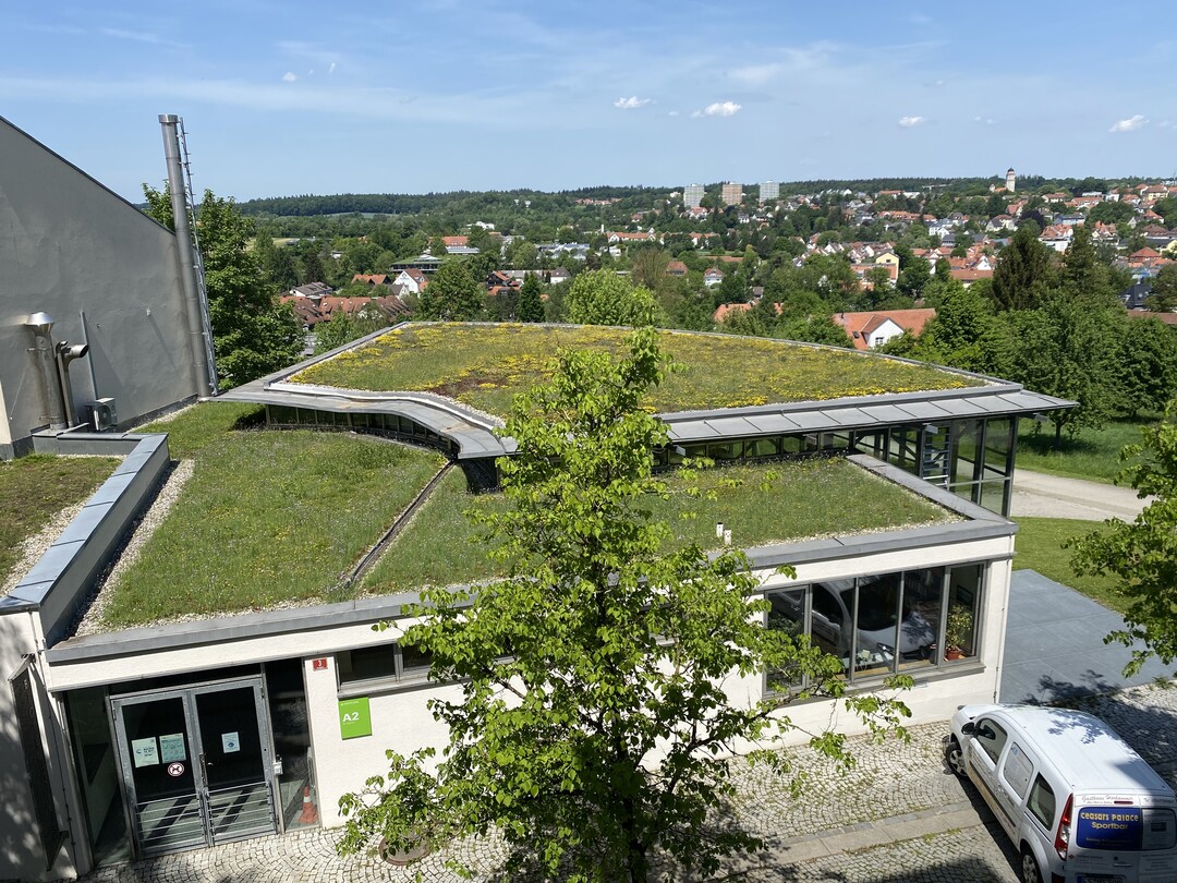 Gründächer sehen nicht nur schön aus, sondern haben für Nutzerinnen und Nutzer sowie für die Gesellschaft handfeste Vorteile. Hier finden Sie alle auf einen Blick.
