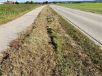 Auch in direktem Einzugsbereich der Straße muss nicht mit dem Mulchmäher gearbeitet werden. Gerade die Restflächen in einer agrarisch oder urban geprägten Umgebung sind oft wichtige lineare Biotope.